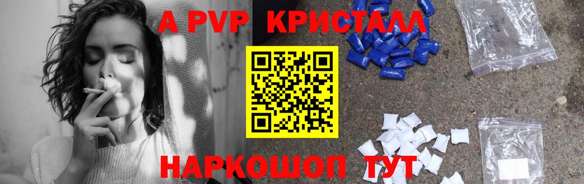 Альфа ПВП СК Анжеро-Судженск