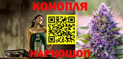 Альфа ПВП Аргун