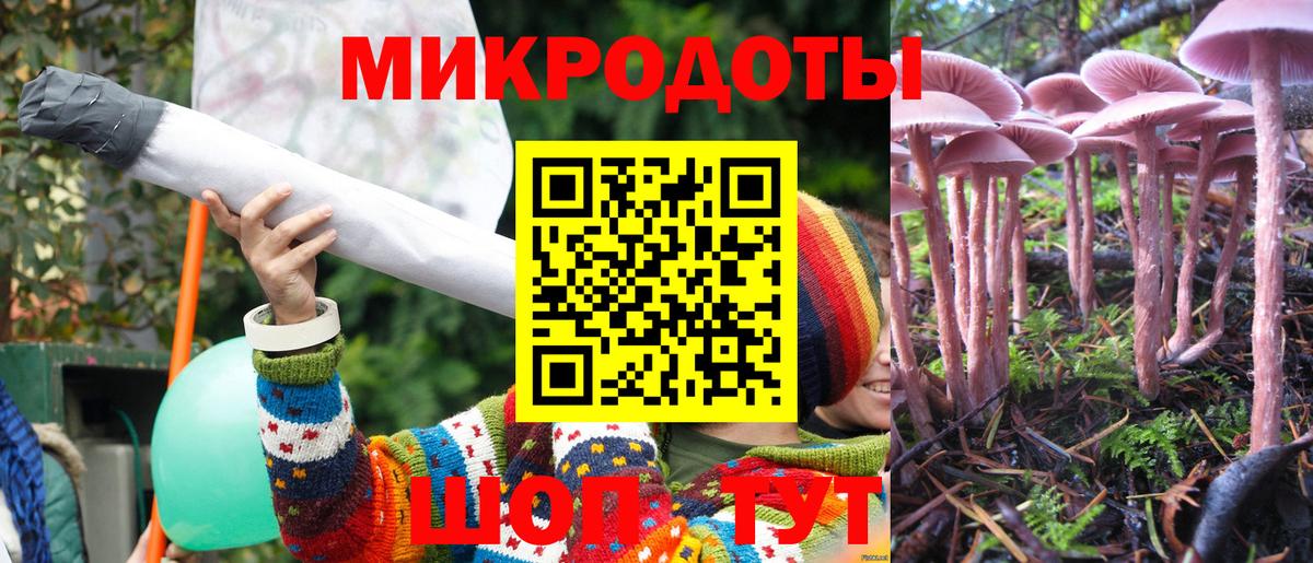 Галлюциногенные грибы Magic Shrooms  Галлюциногенные грибы мухоморы  купить  сайты  Анжеро-Судженск  Вход с VPN 